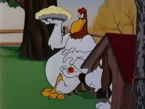 giphy.gif