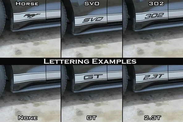 242540050_4694388980580949_5684017413790305133_n.webp
