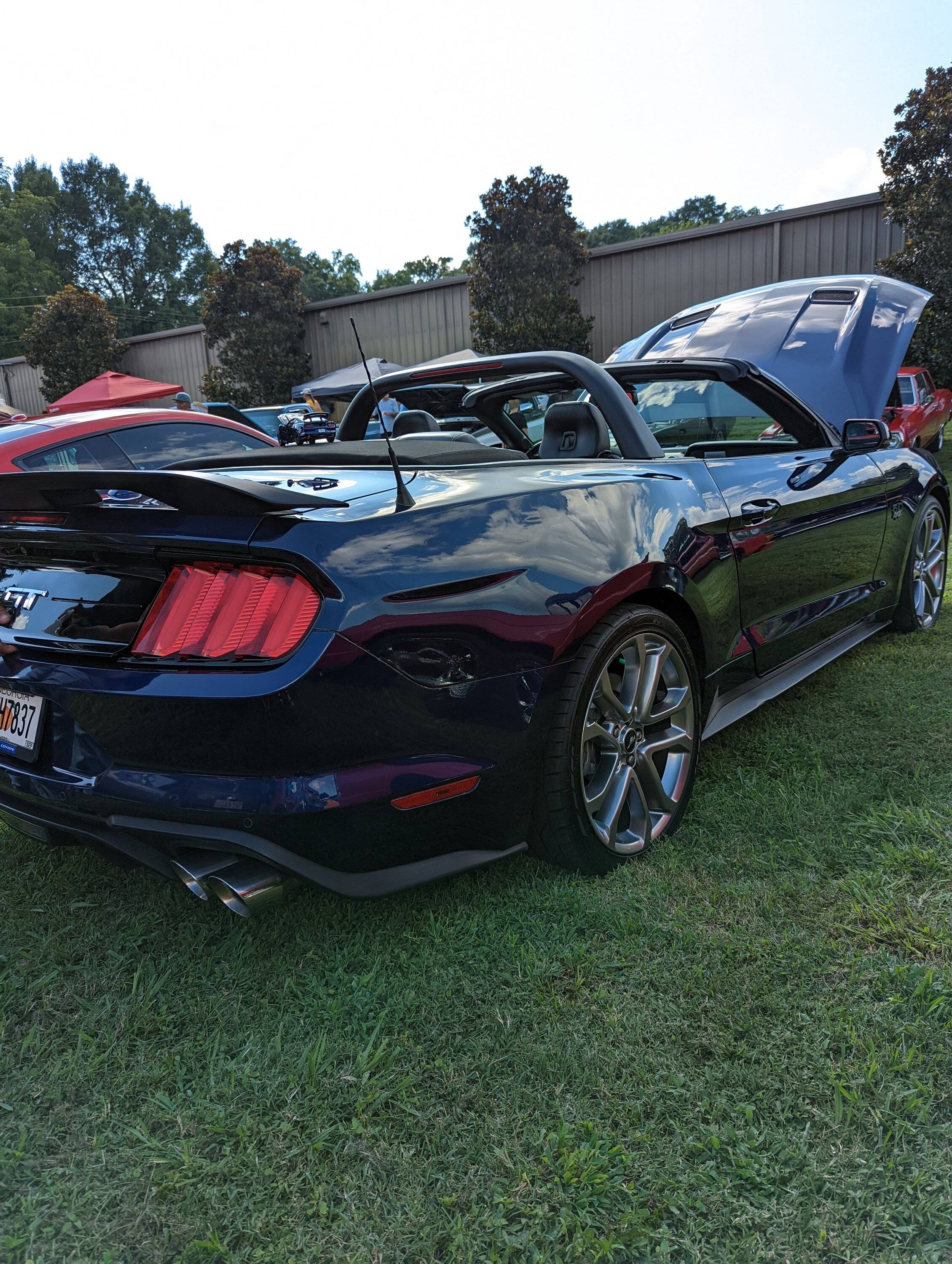 IMG_20220815_065014.jpg
