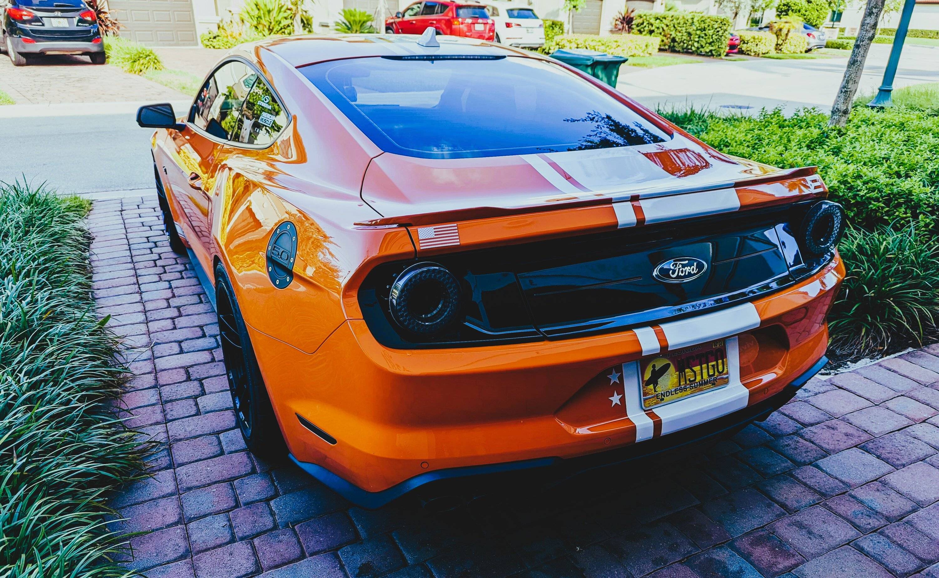 Ford Logo - Burn.jpg
