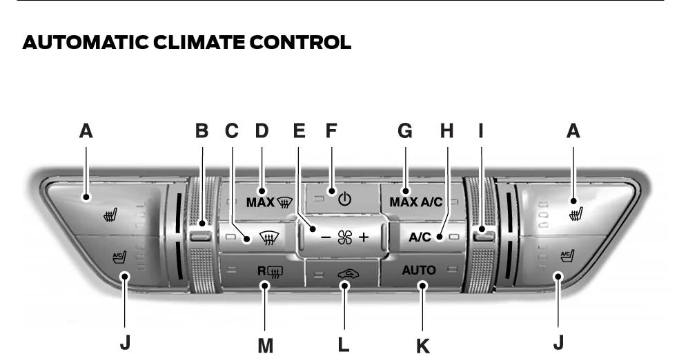 8C5DB5CE-C51D-4591-87EF-C35DFF0D4710.webp