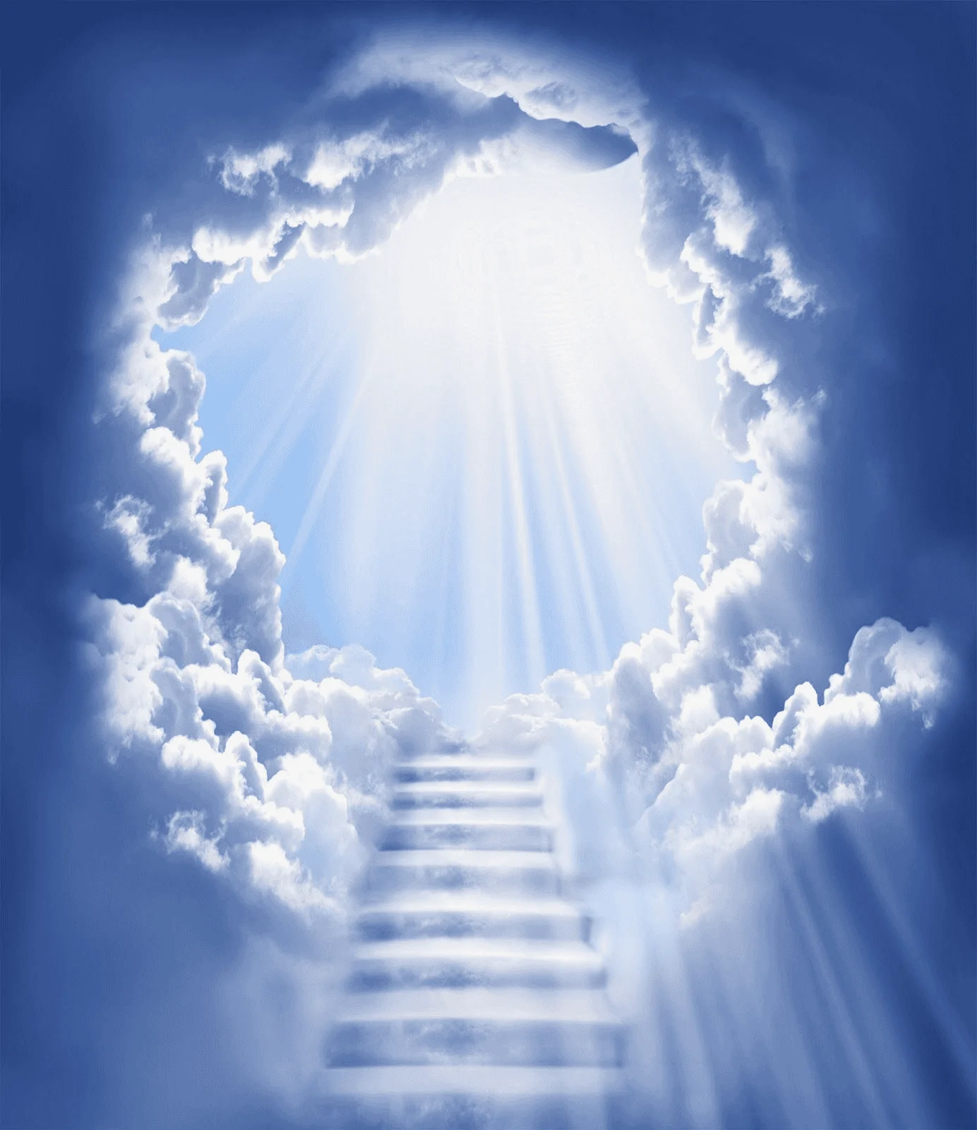 1662054727522.webp