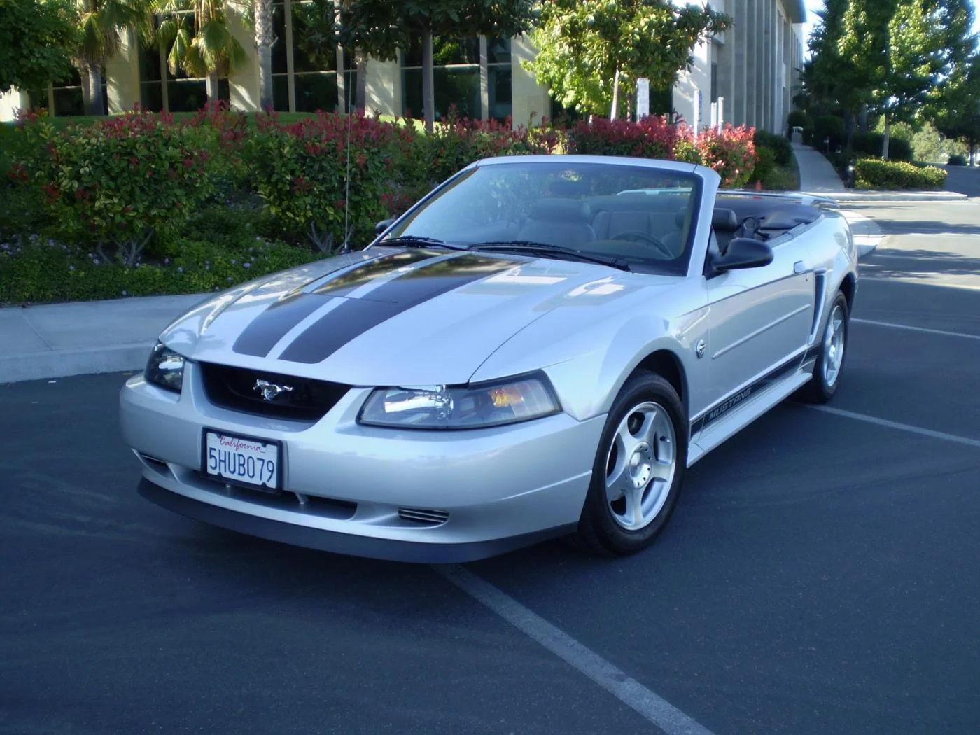 04Pony.webp