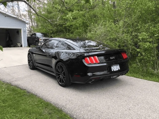 new wheels 2.webp
