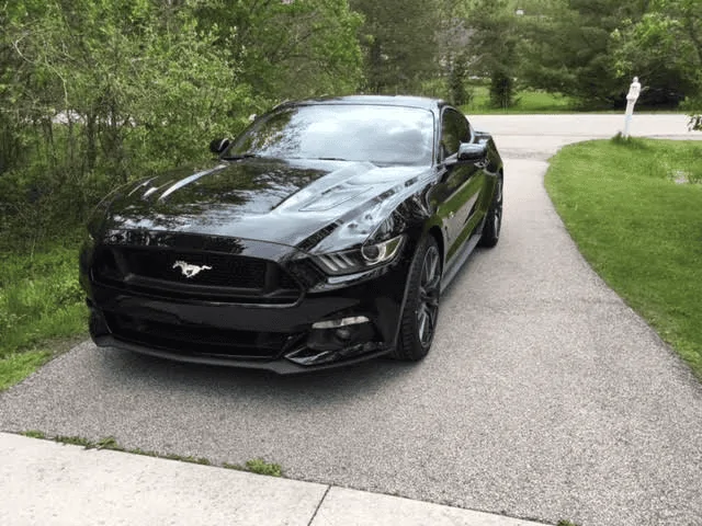 new wheels 3.webp