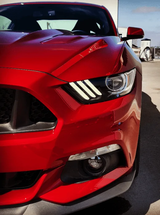 1463253270.mustang.webp