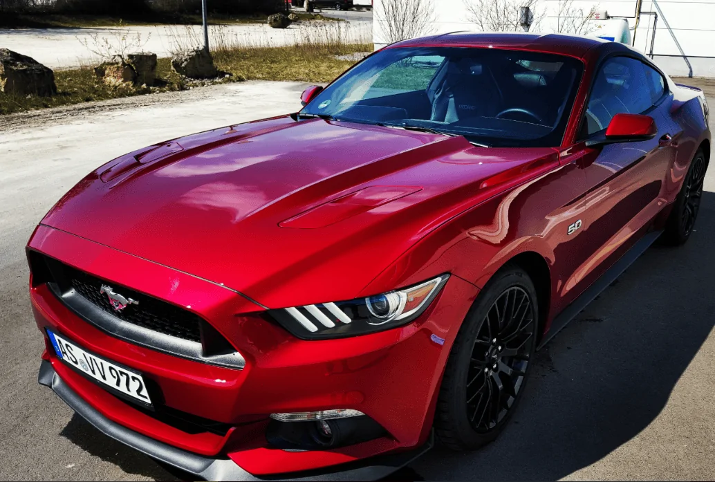 mustang 2.webp
