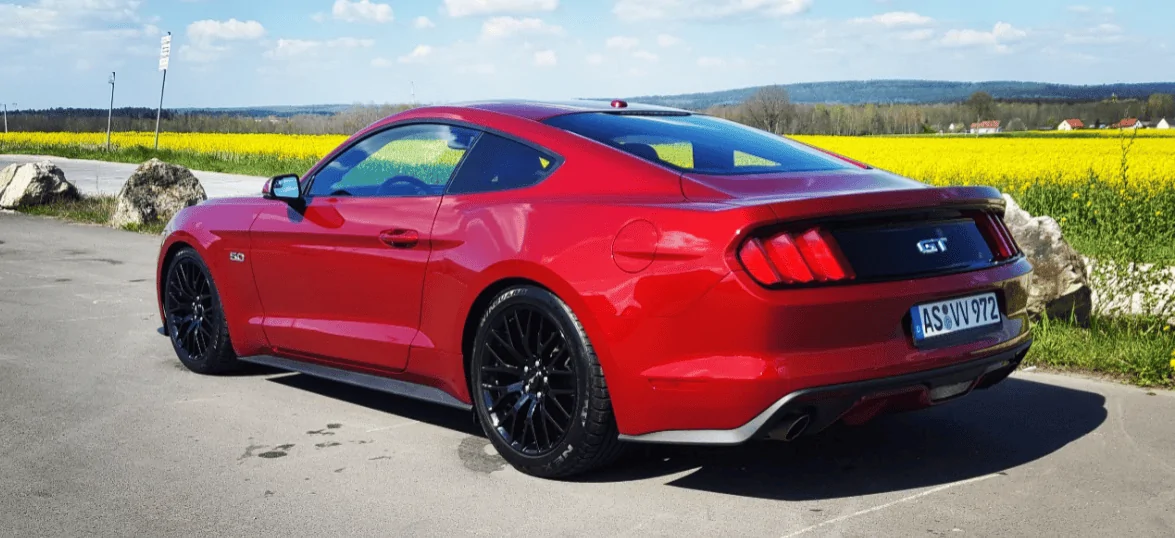 mustang 3.webp