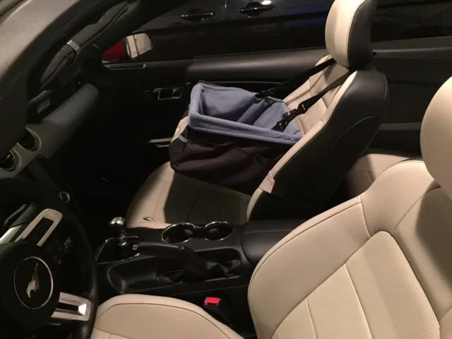 image1.webp