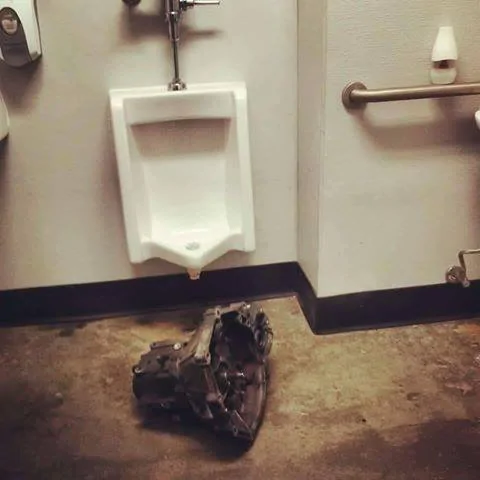 1463281826.trannybathroom.webp