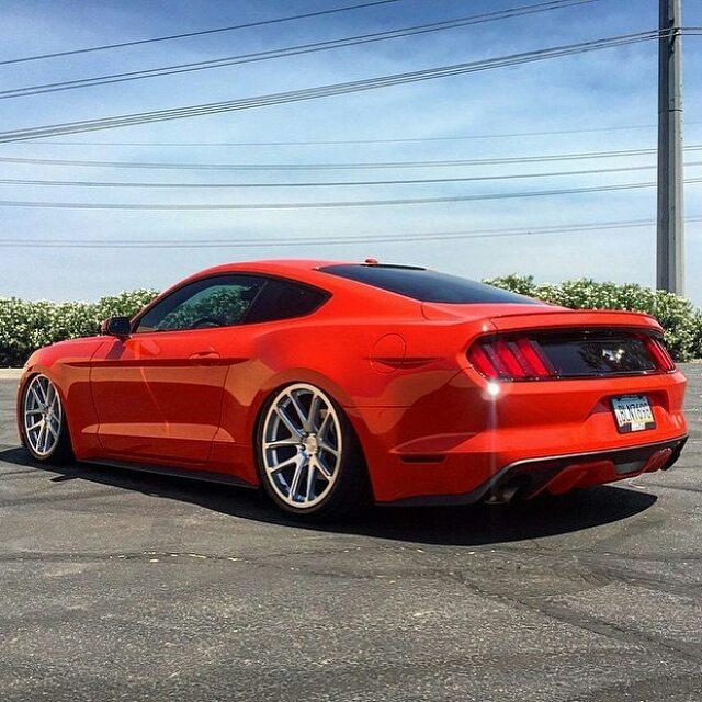 1463331848.That-drop....-mustang_shelby_-mustangram-muscle-american_muscle_mustangs-s550-fordrac.jpg