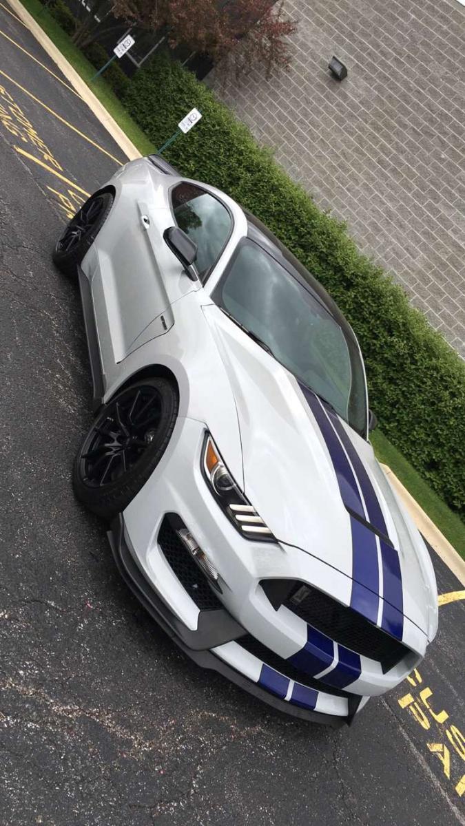 1463413042.shelby.jpg