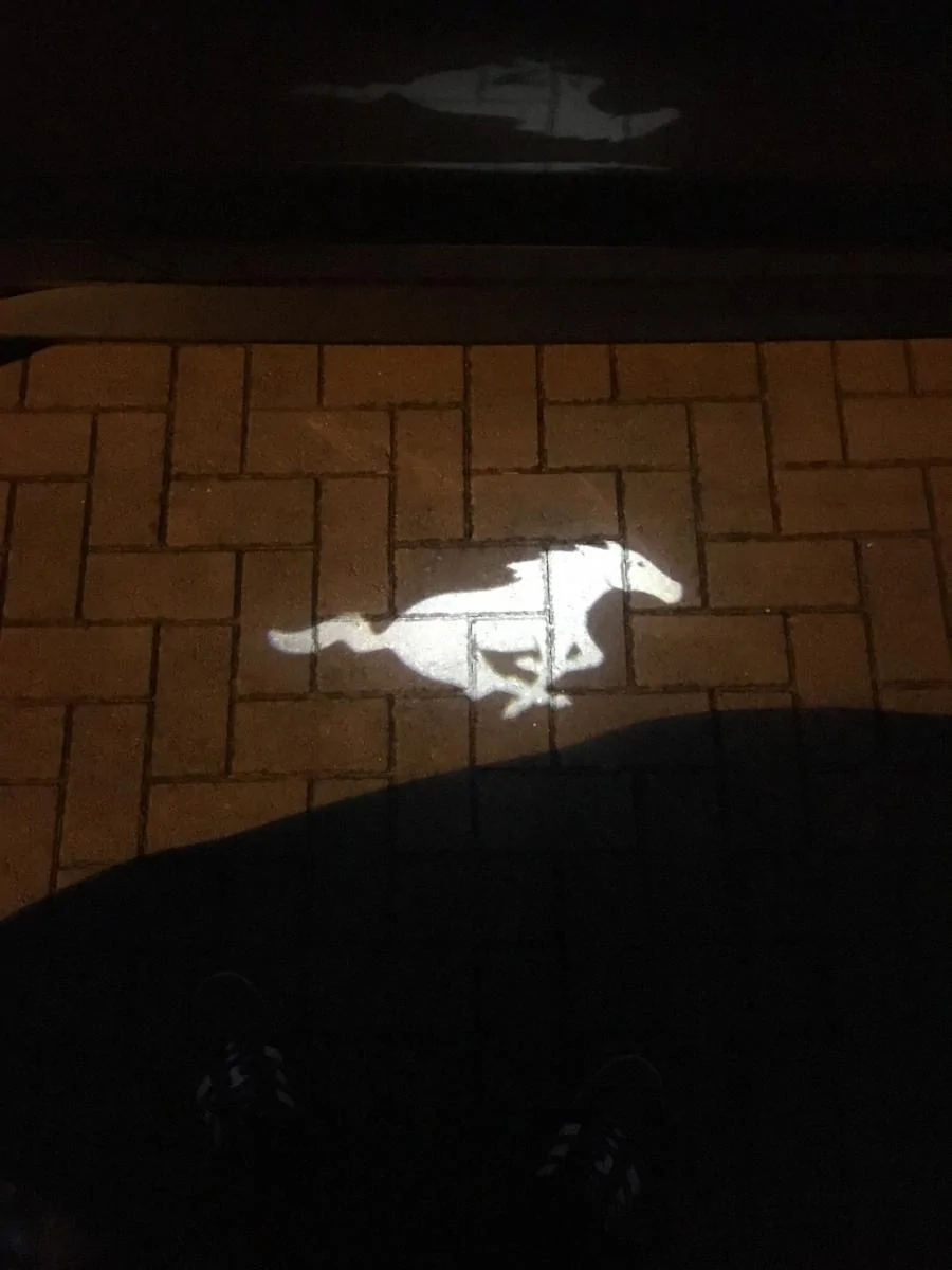 1463434841.image.webp