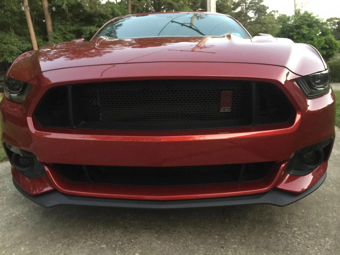 1463497459.B's 2015 Ford Mustang GT Premium Howler Badges 02.webp