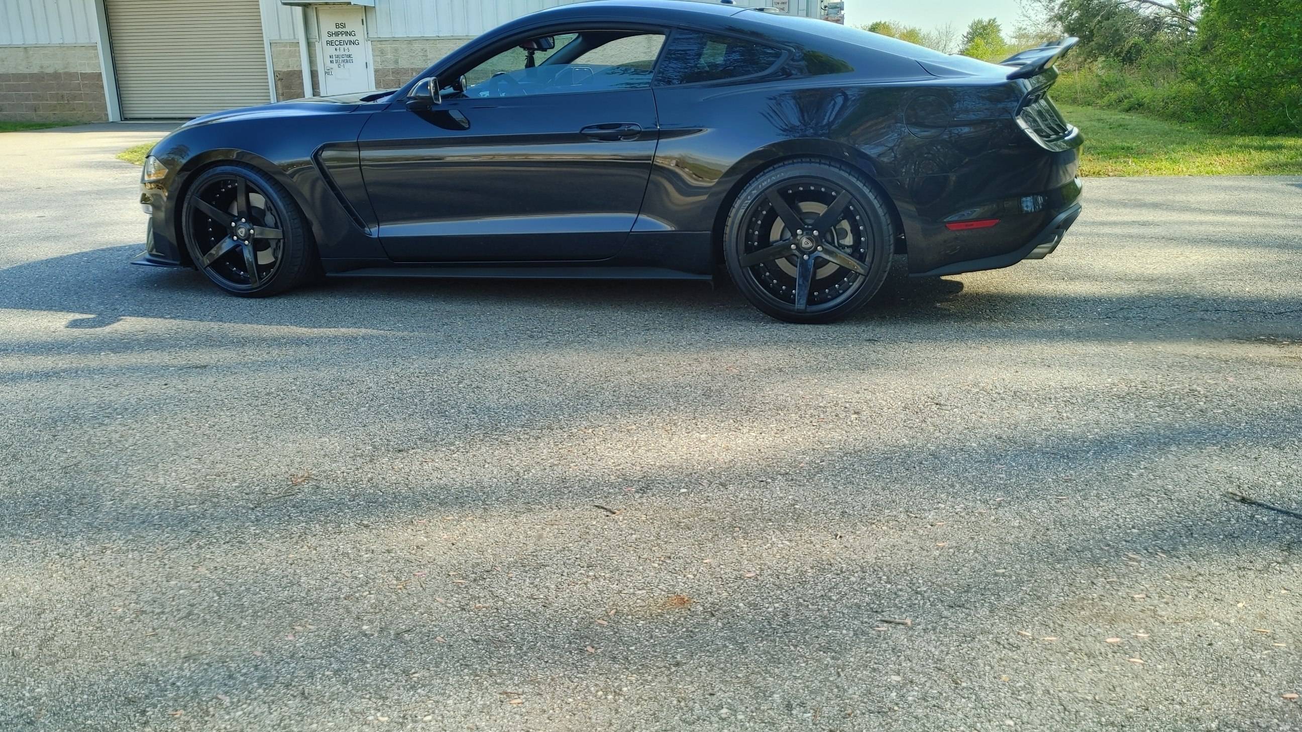 STANG.jpg
