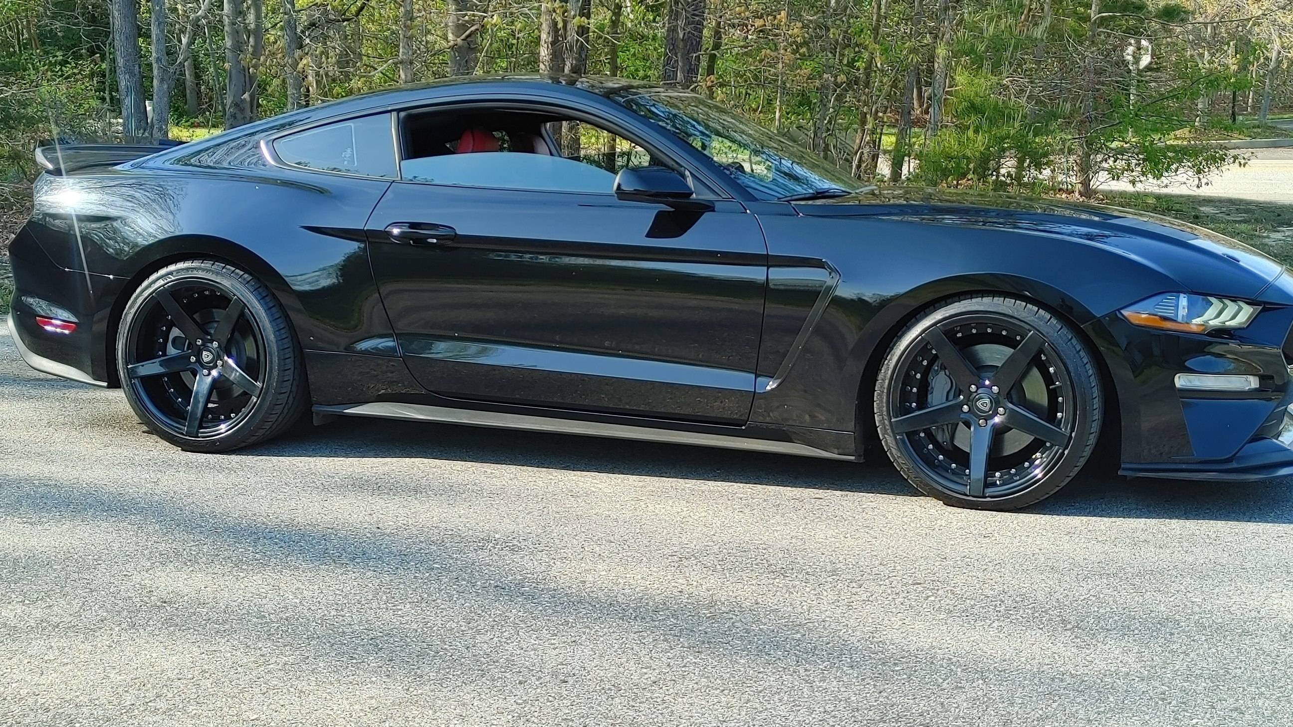STANG3.jpg