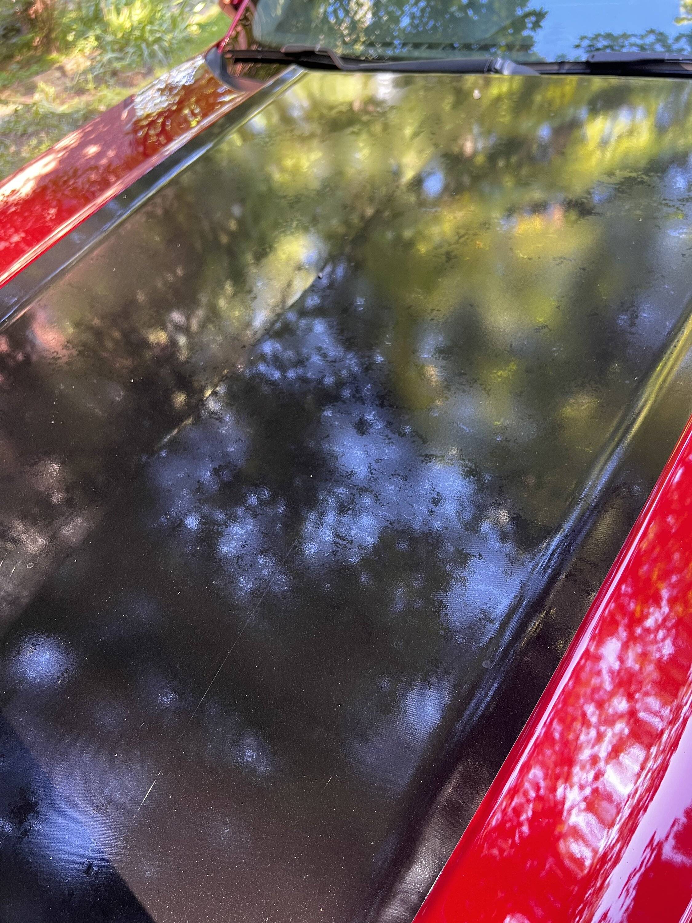 FDAD6821-4462-483A-9790-9259411DA0FC.jpeg