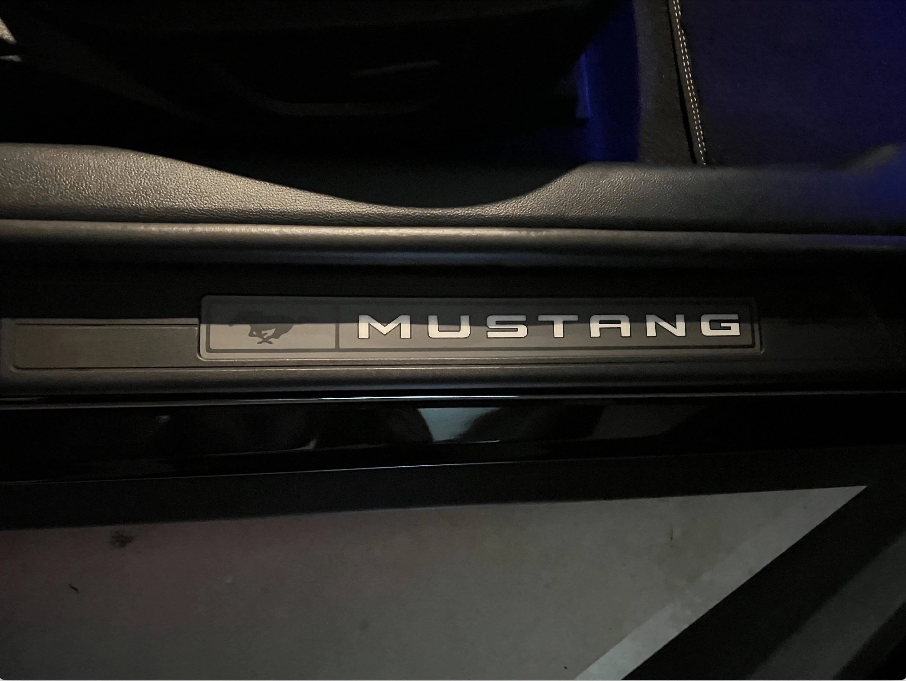 Mustang2.webp