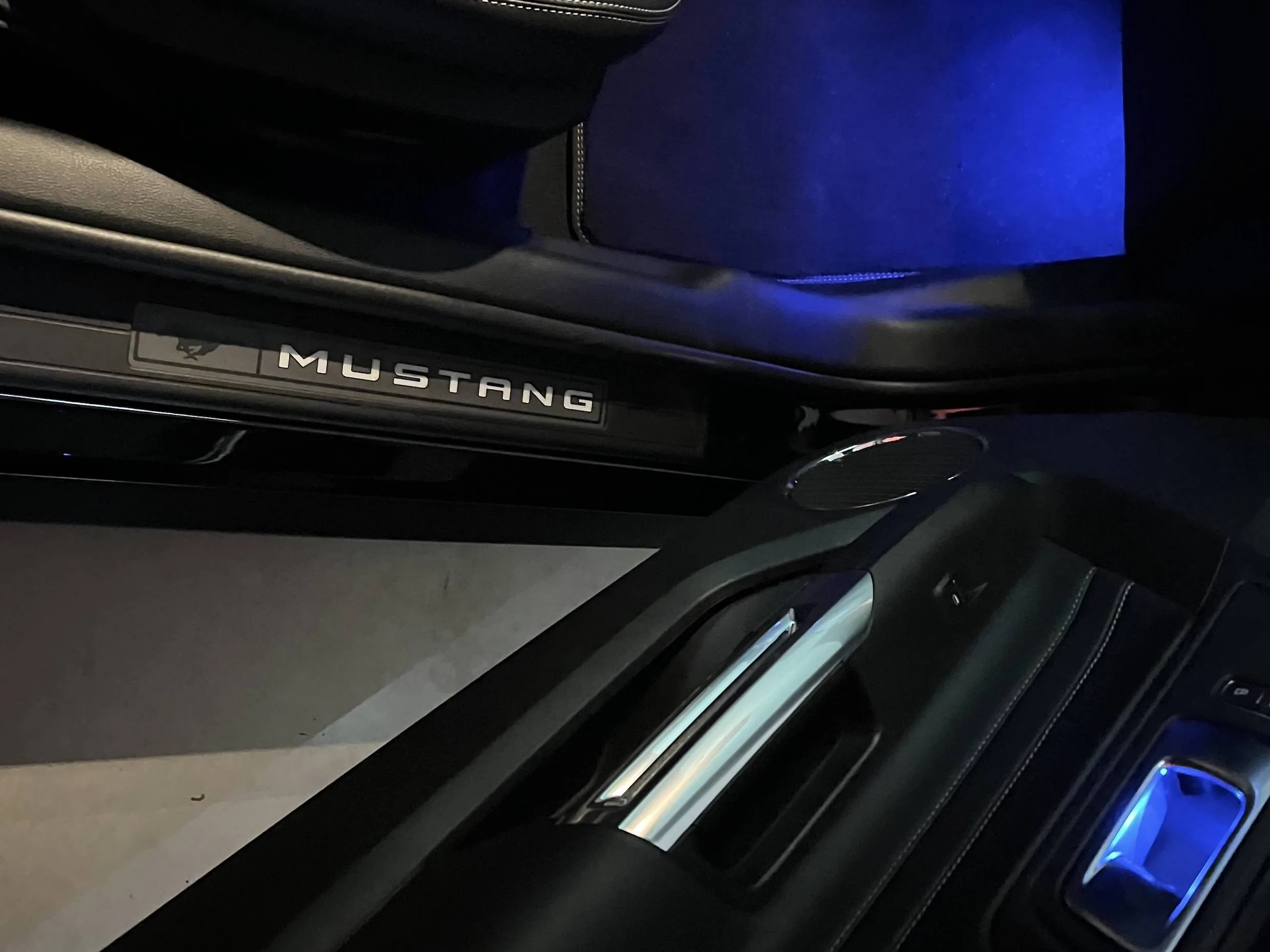 Mustang3.webp