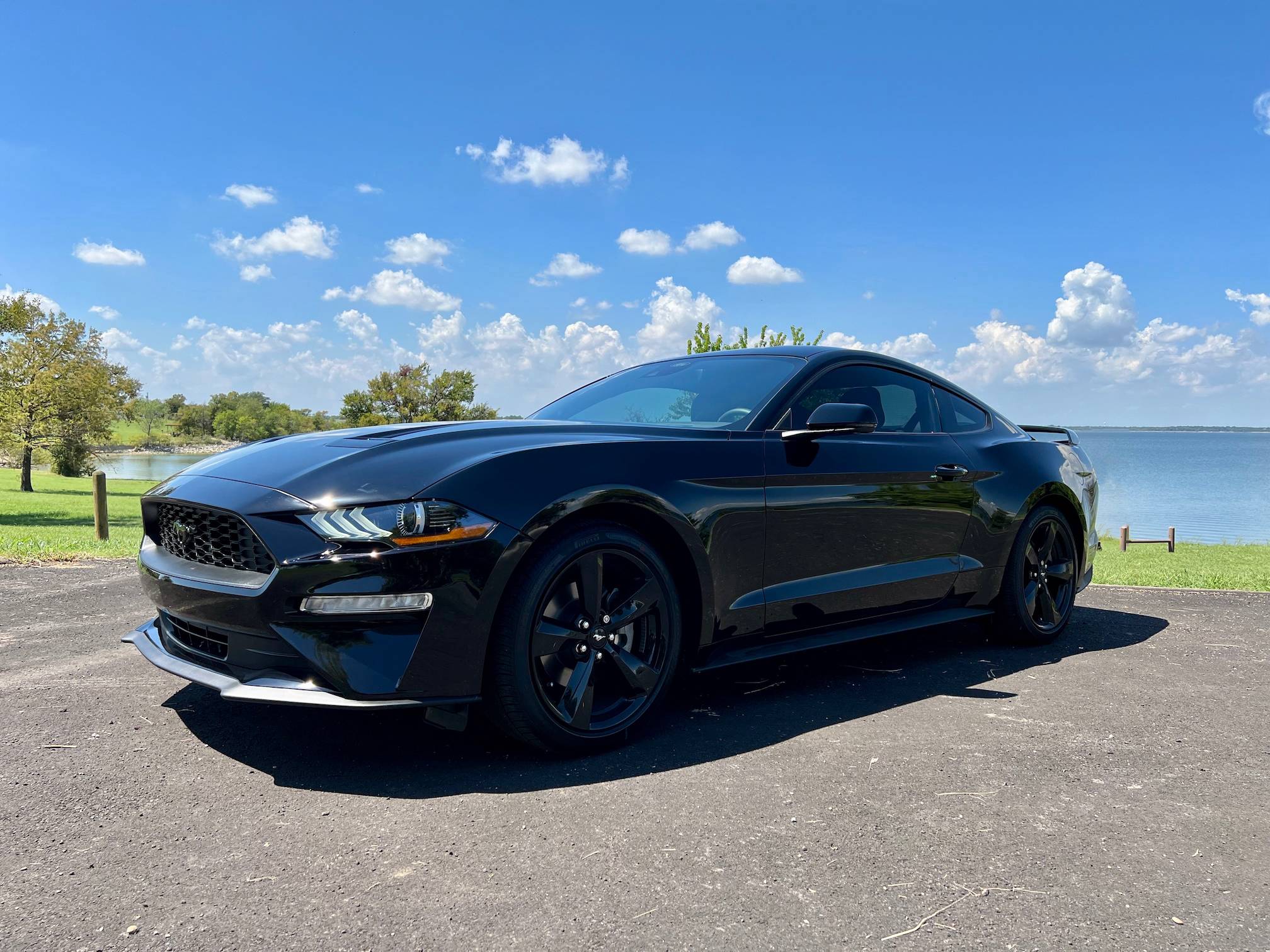 Mustang1.jpg