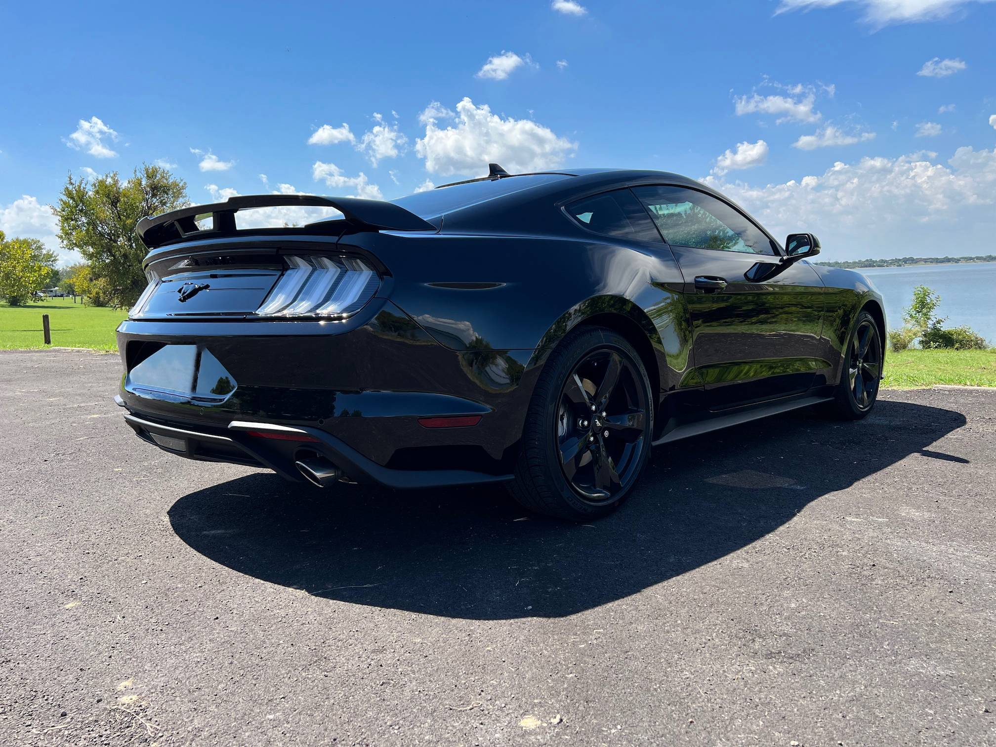 Mustang2.jpg