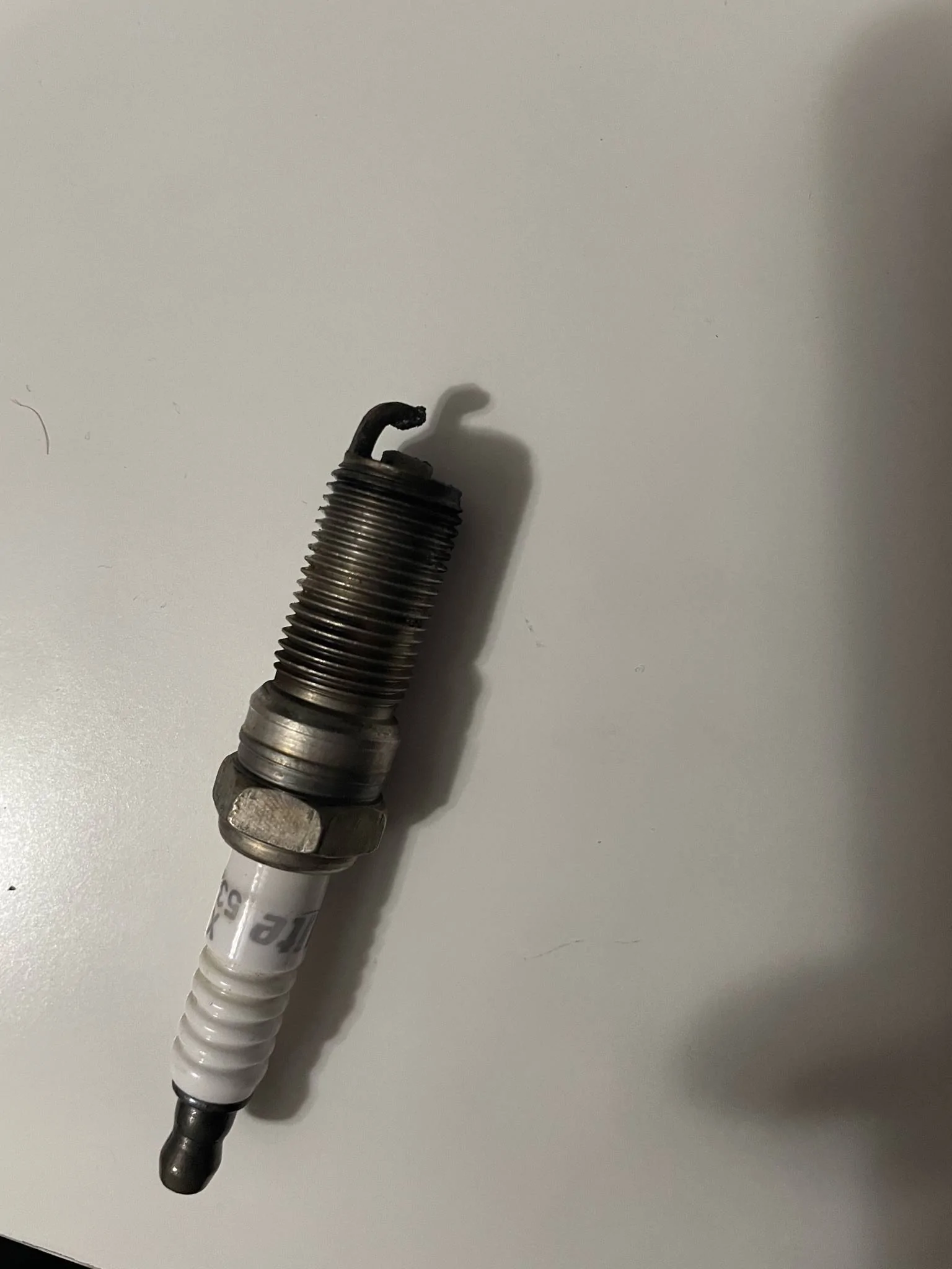 43EC9575-8A4F-4D16-93E3-6D84B174DC60.webp