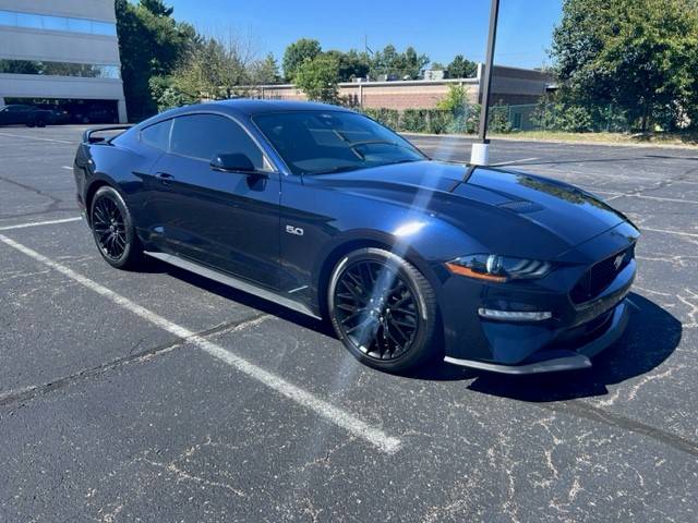 Mustang2.jpg