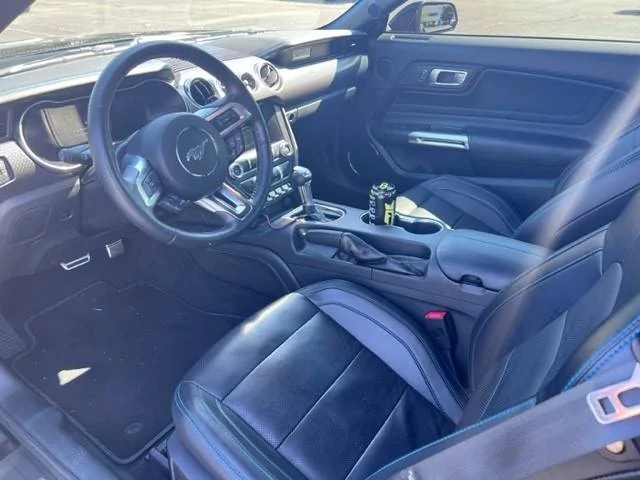 Mustang1.webp