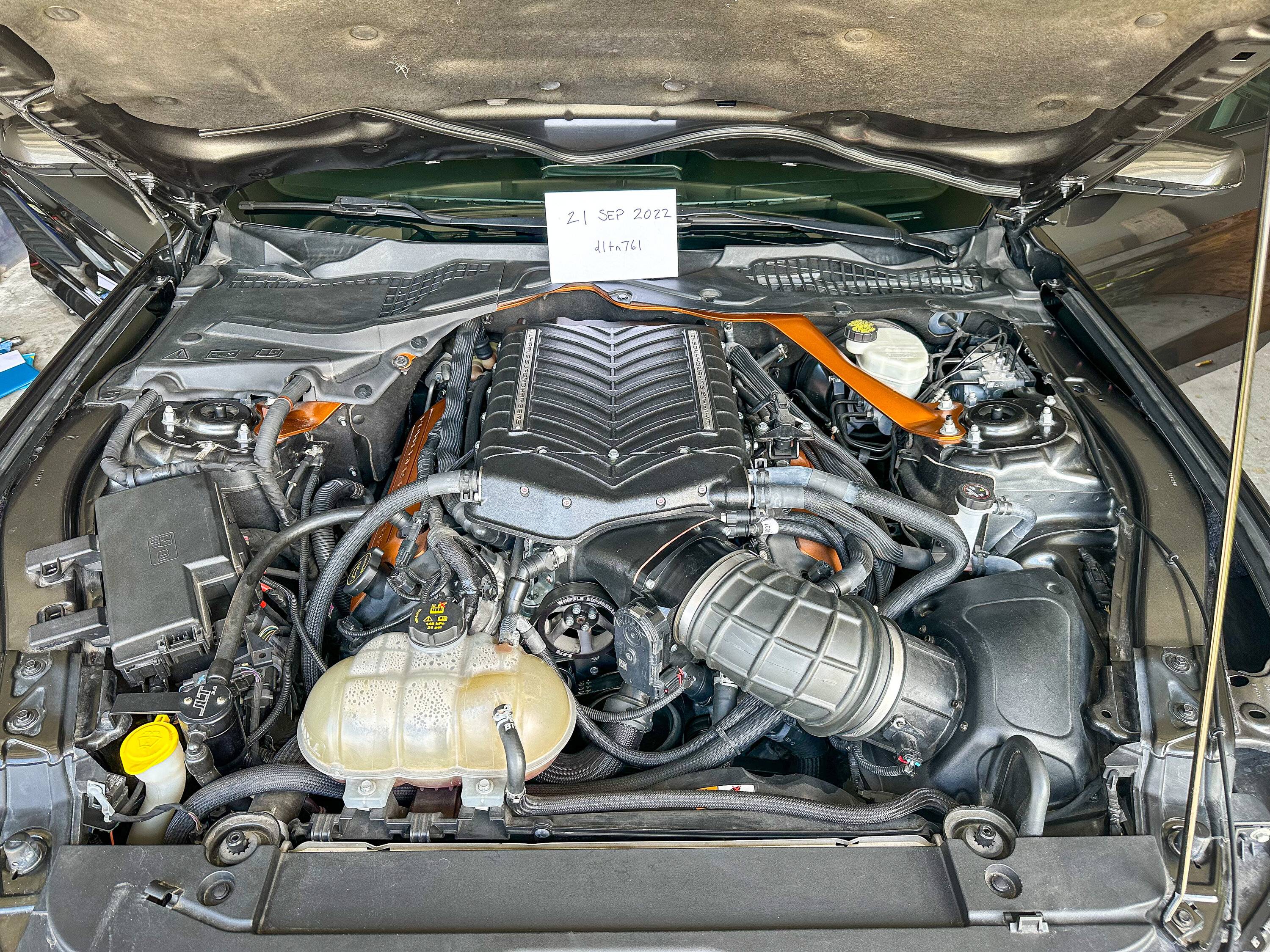 824C7E2C-F908-4B26-92E4-E4380A3E4431.jpeg
