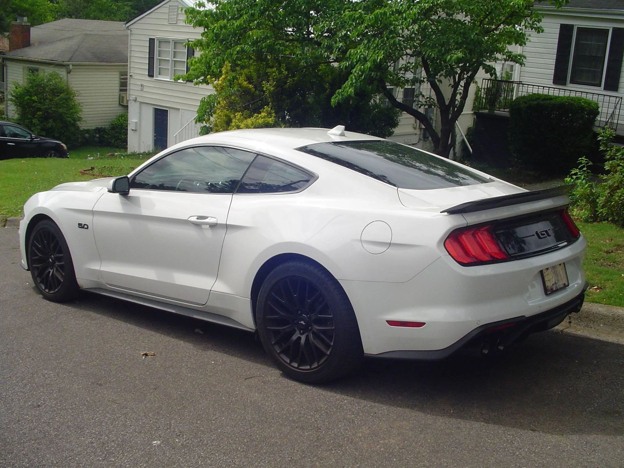 DSC00003 (1).webp