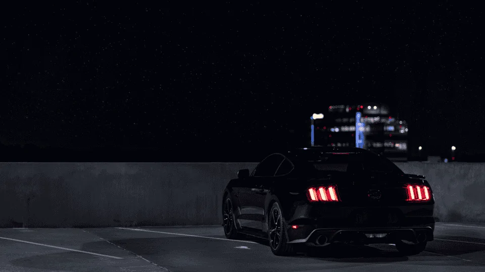 mustang.webp