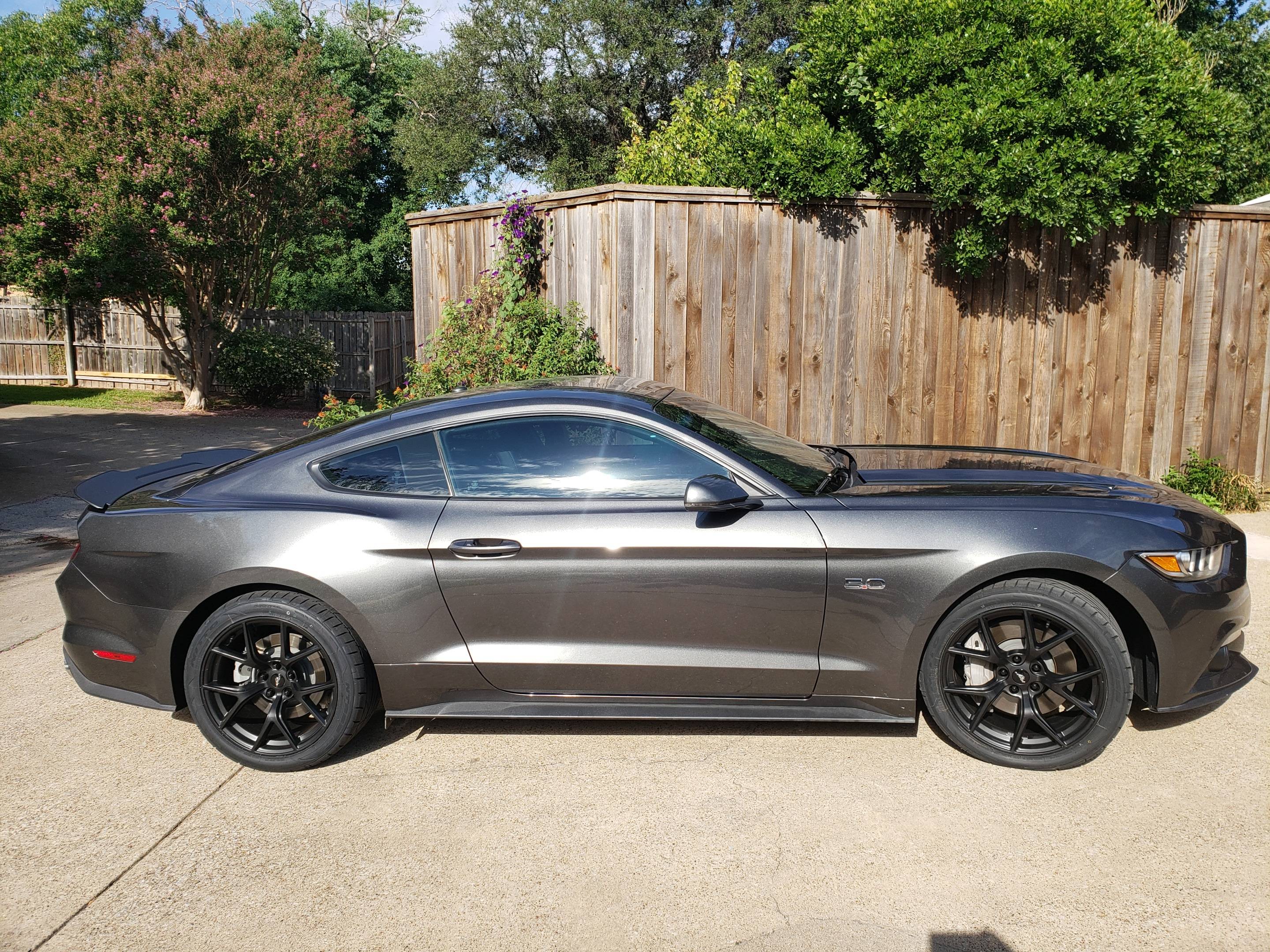 RJP_17_Mustang01.jpg