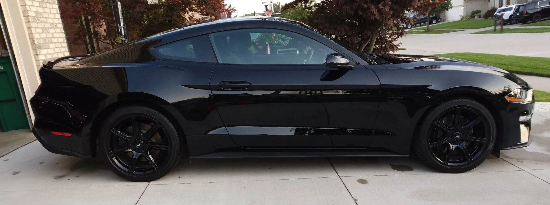 black gt.webp
