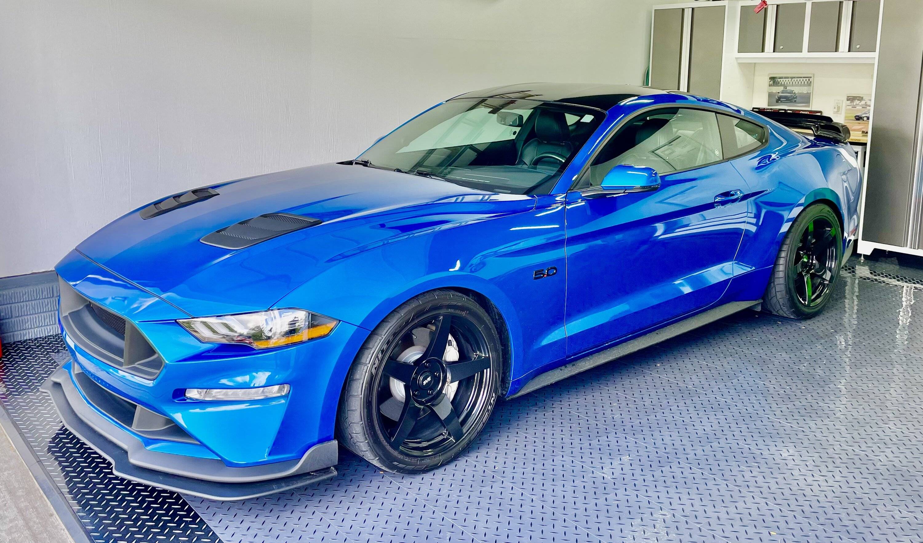 Mustang Full.JPG