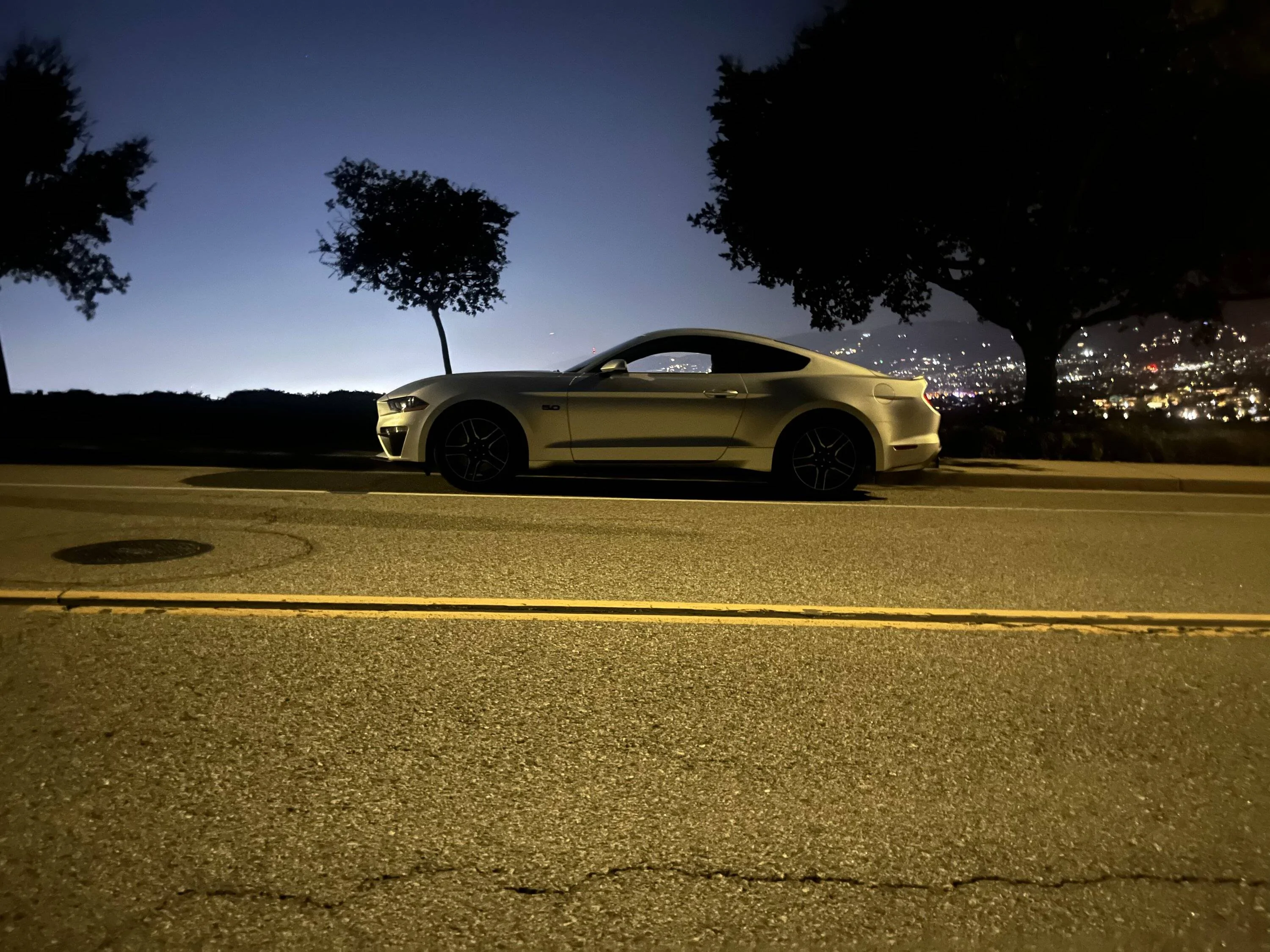 CA8D2649-D3D5-4FEE-A87E-C3BC614A81C1.webp