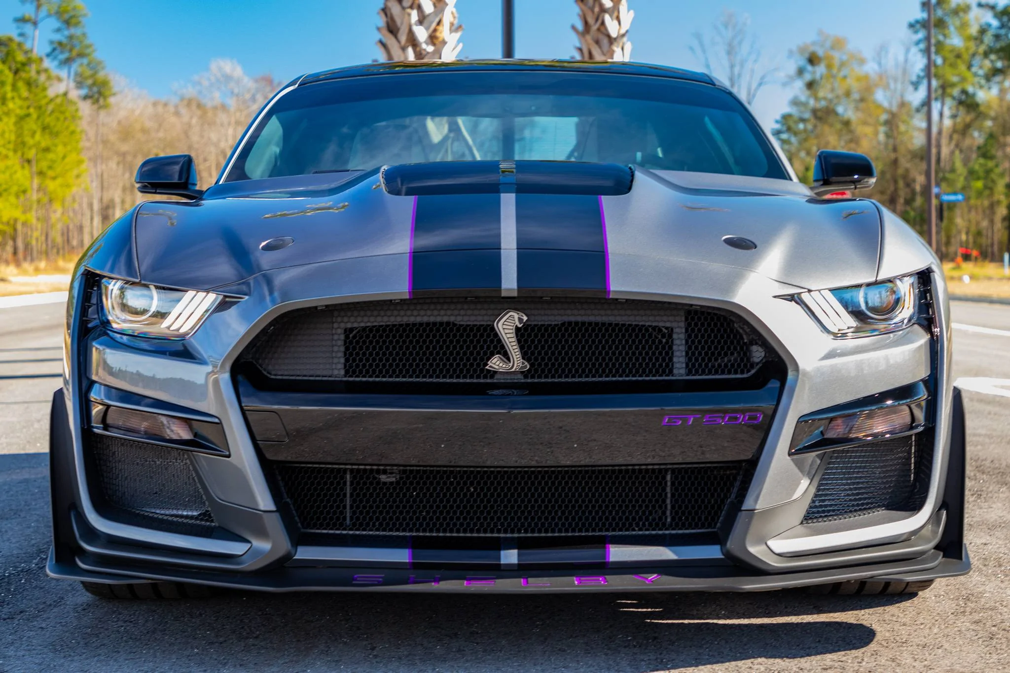 purple-dual-GT500.webp