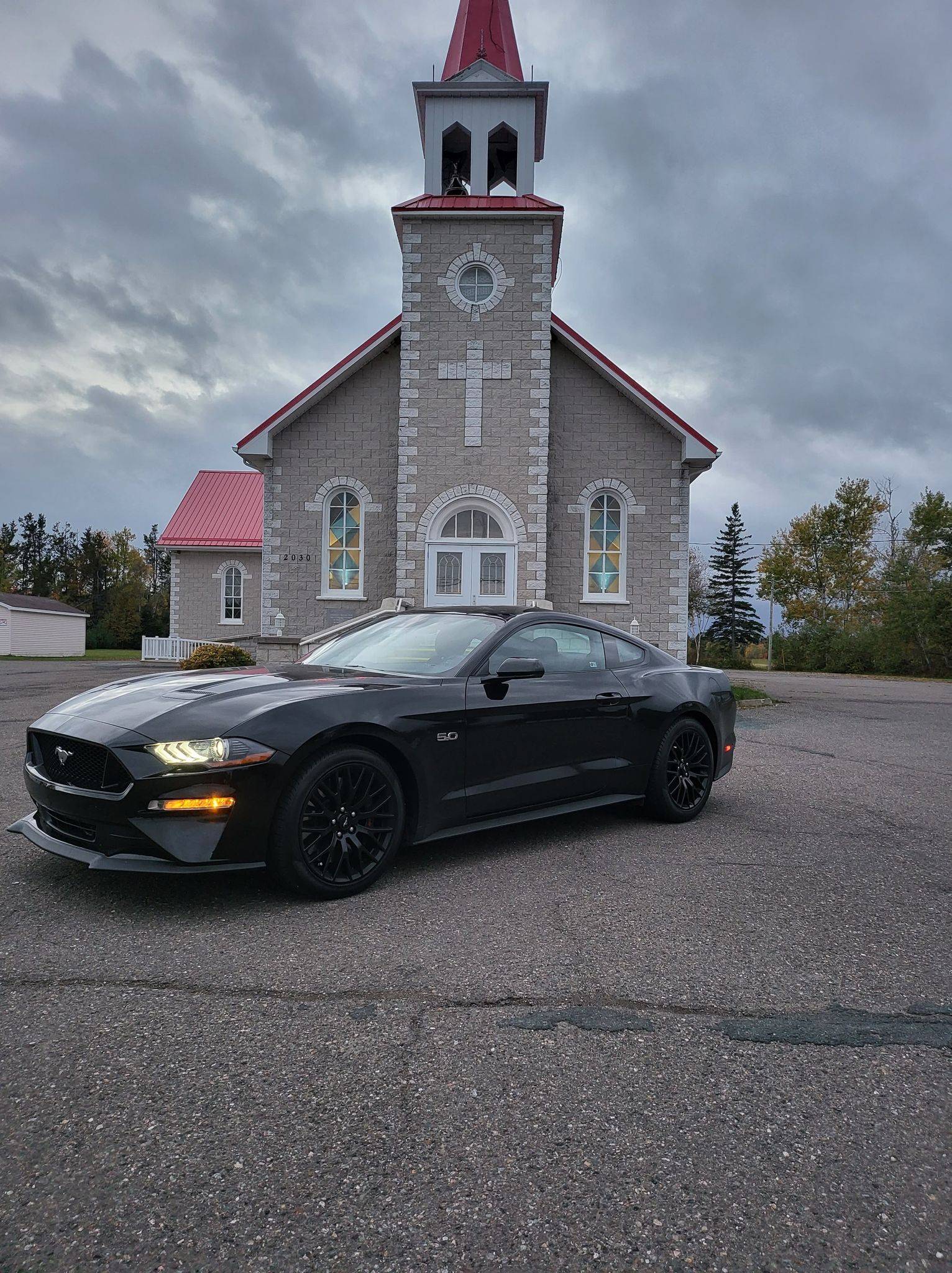 mustang2022.jpg