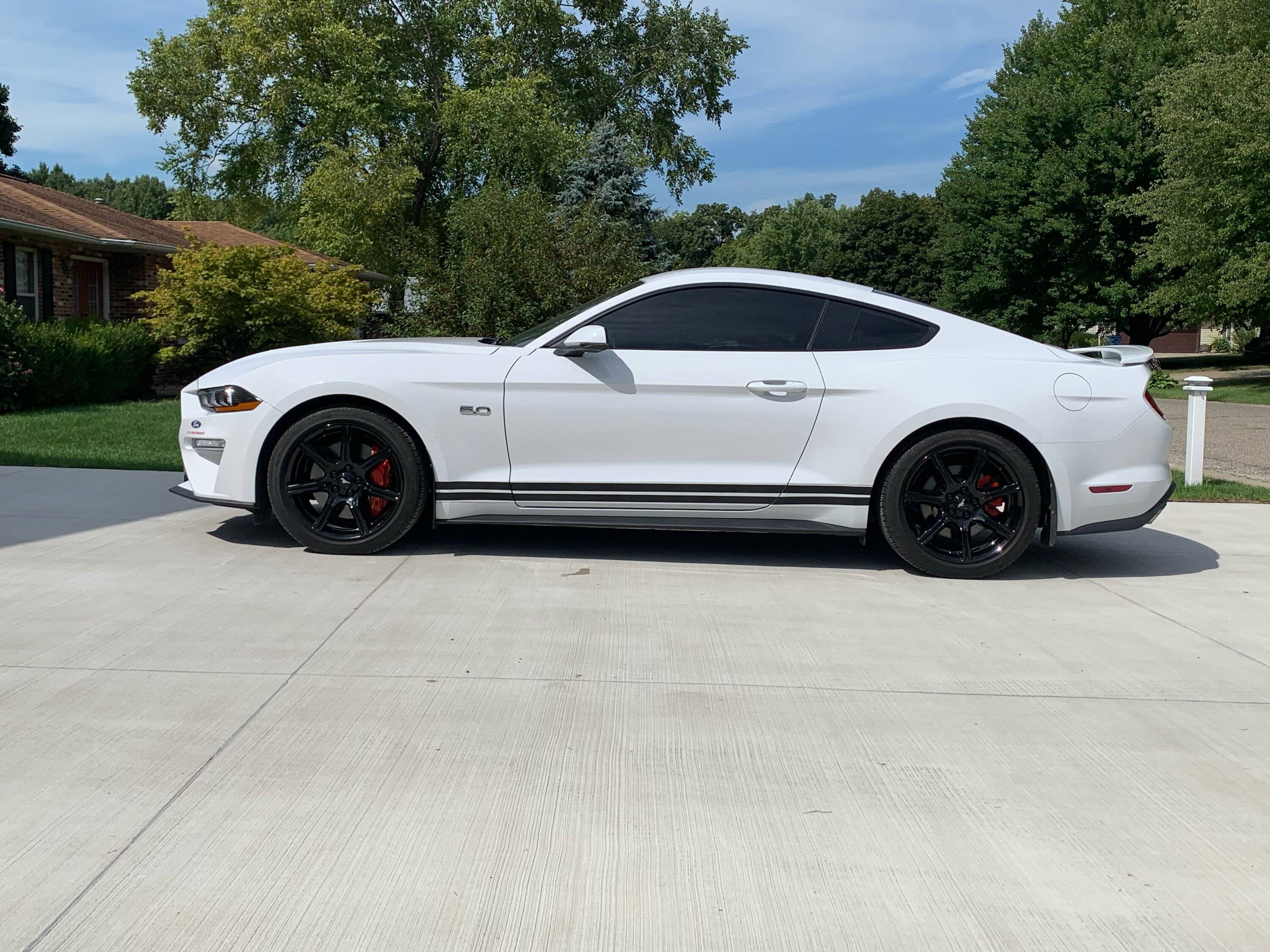 kipp-2015-2022-mustang-dual-line-rocker-stripes.jpeg