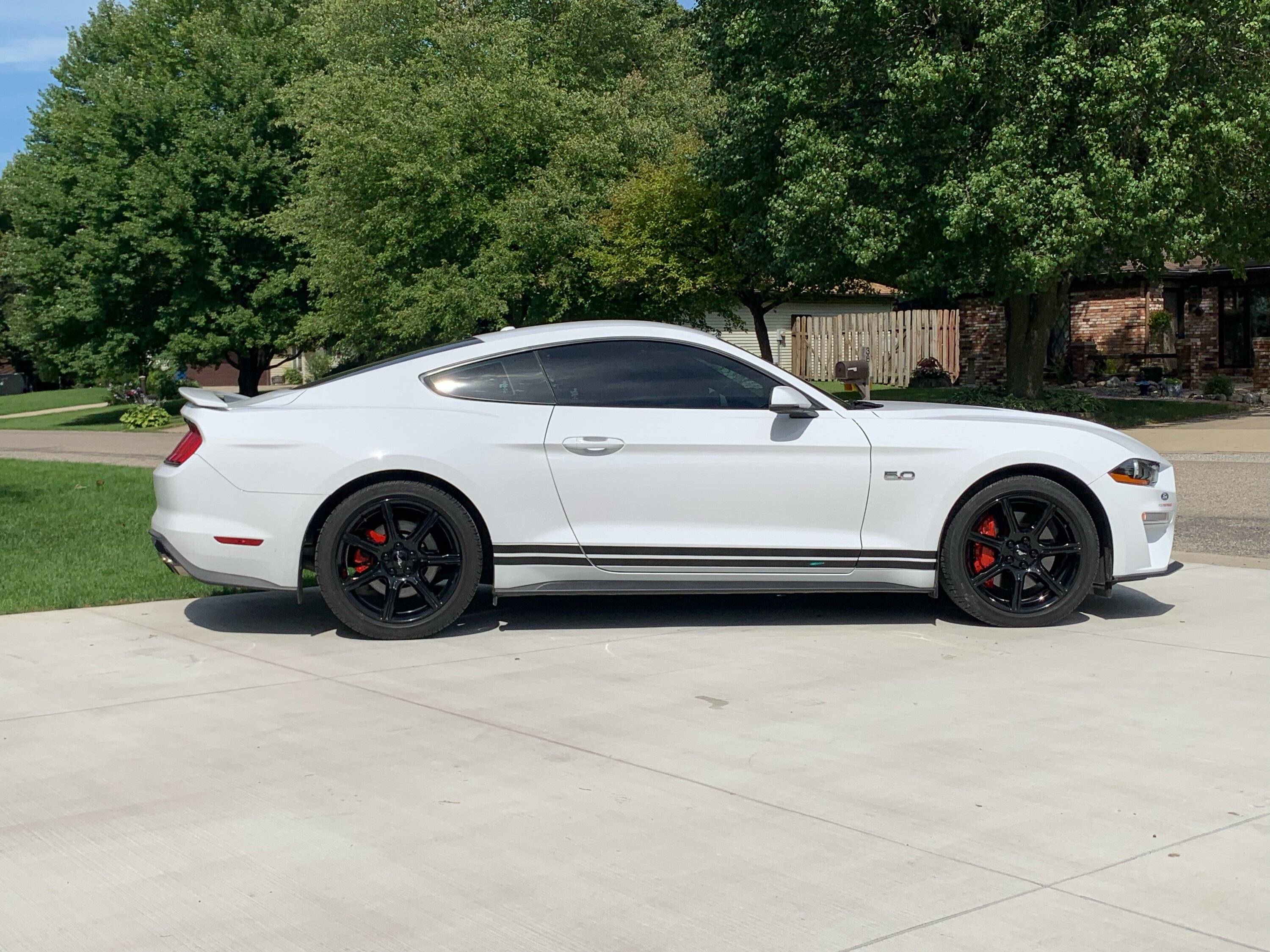 kipp-2015-2022-mustang-dual-line-rocker-stripes-1.jpeg