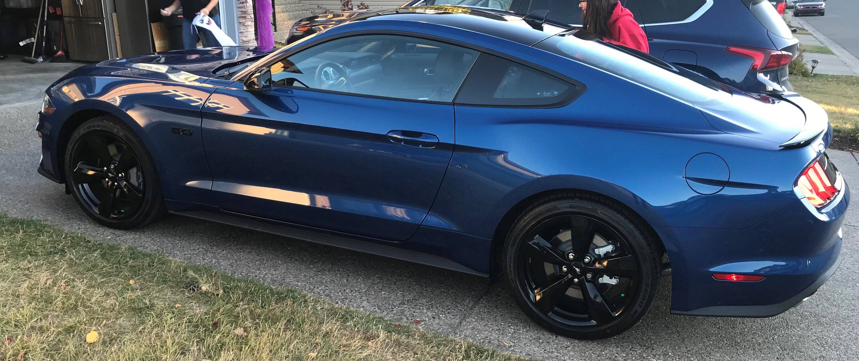 Mustang 1 (2).jpg