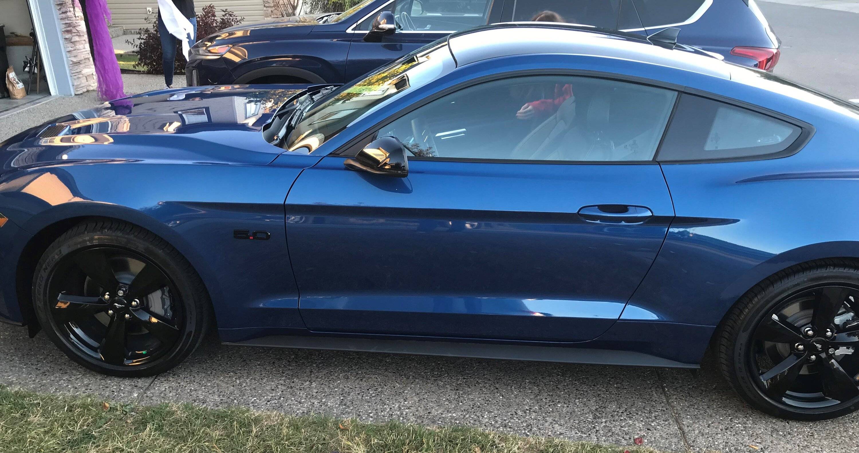 Mustang 2 (2).jpg