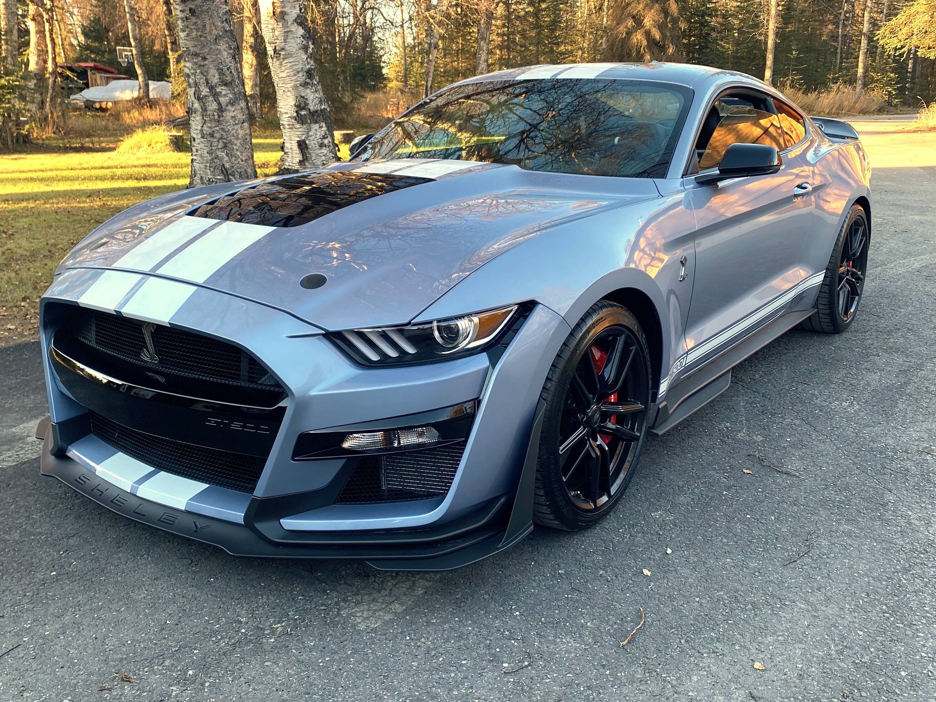 2022 GT500 1.jpg