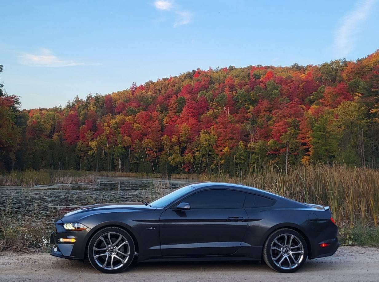 mustang fall2.jpg