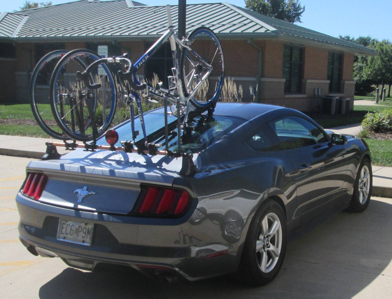 rack 002.jpg