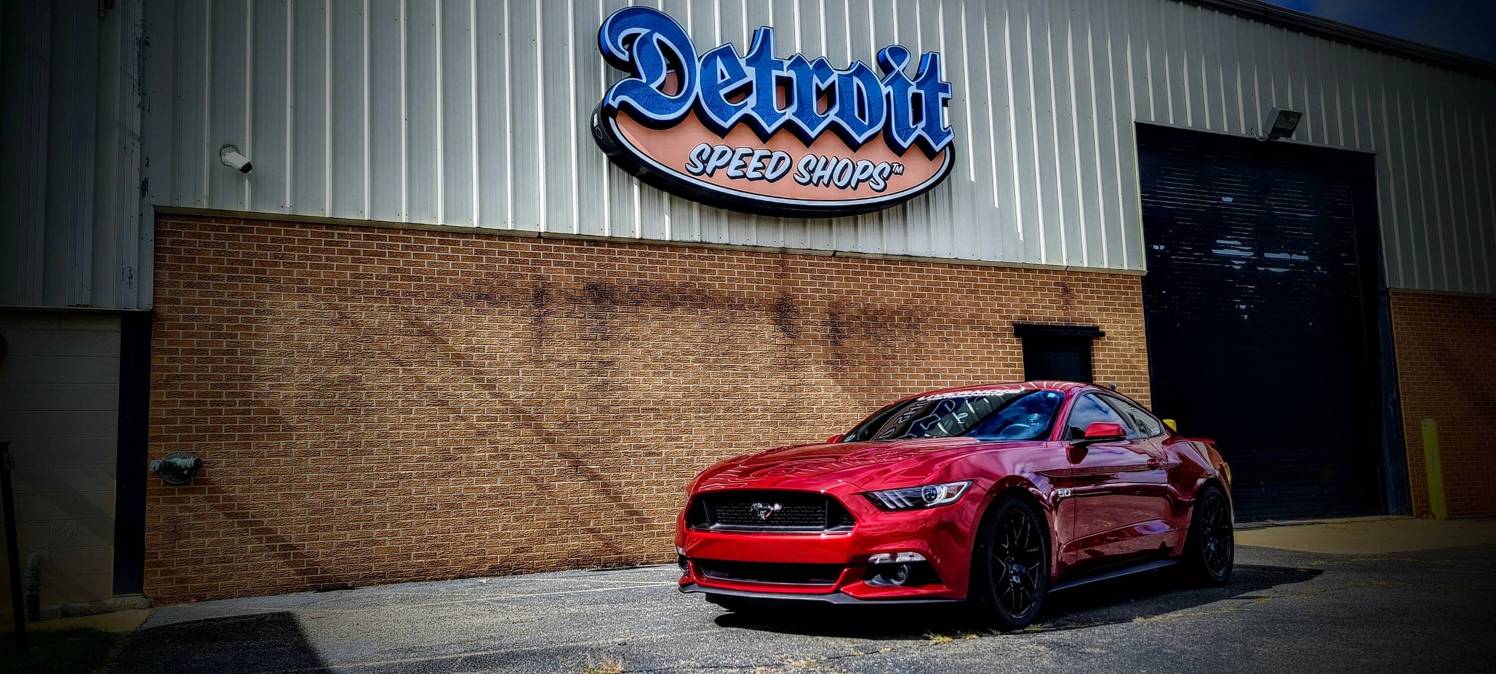 my mustang.jpg