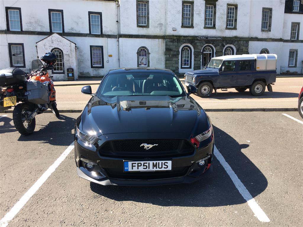 1463577437.IMG_0400 (002) (Medium).JPG