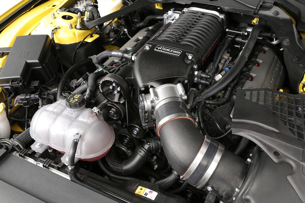 clive-sutton-mustang_6.jpg