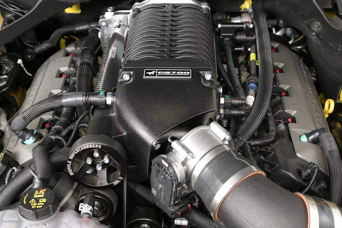 clive-sutton-mustang_7.webp