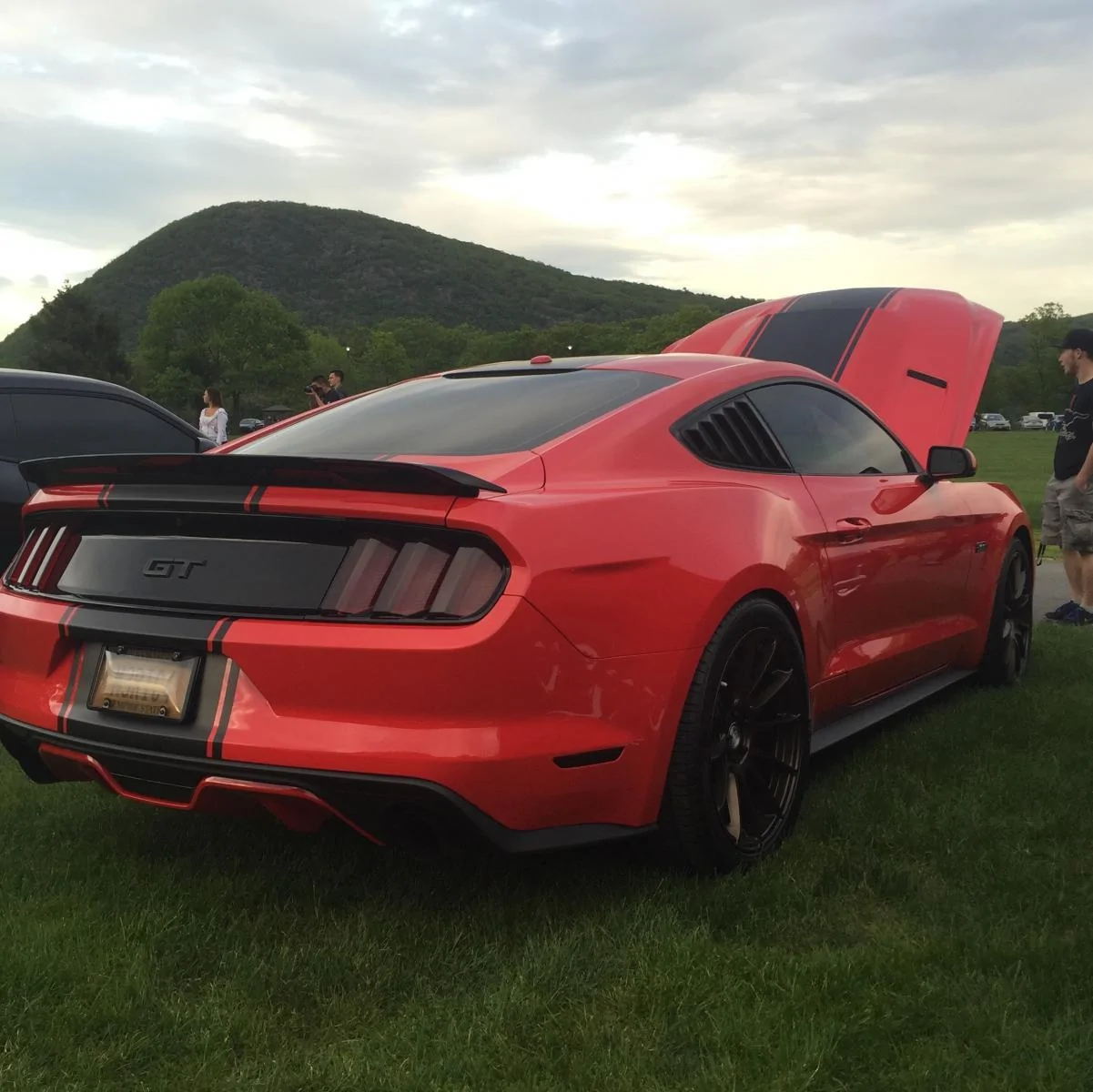 image.webp