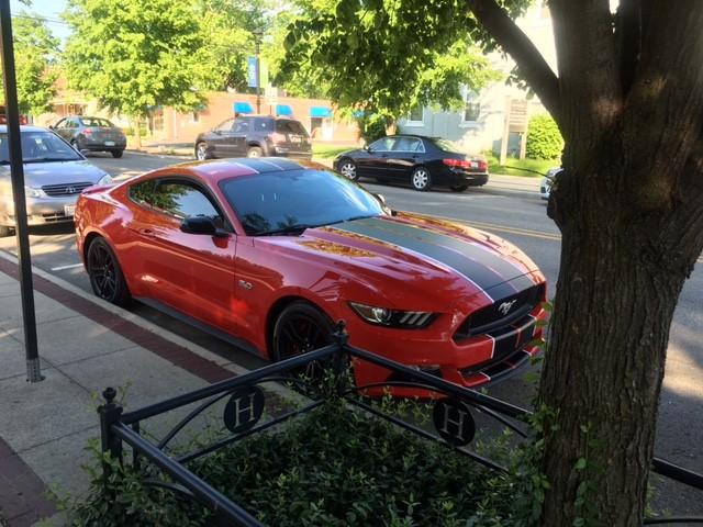 mustang.jpg